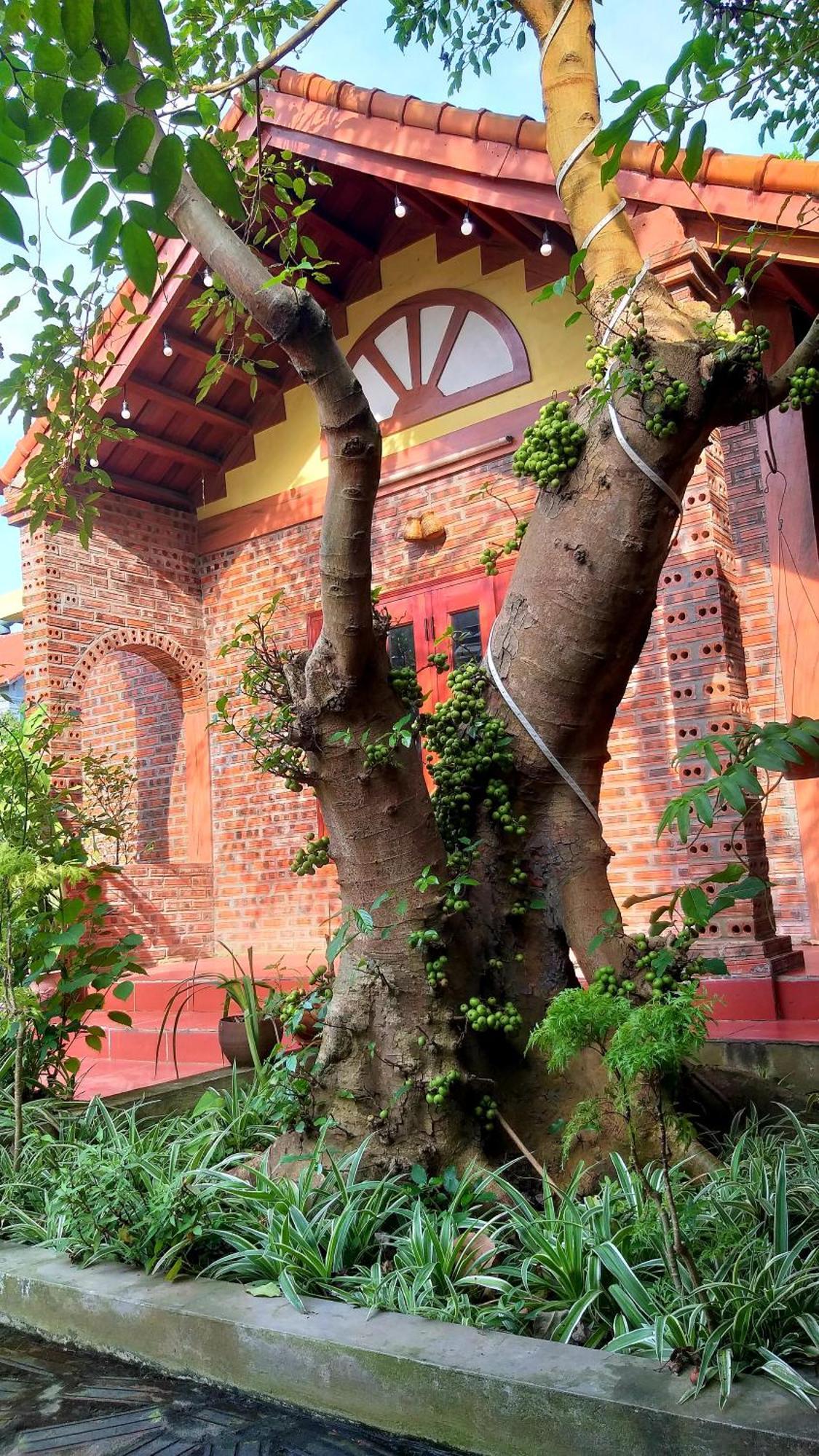 נין בין Tam Family Homestay מראה חיצוני תמונה