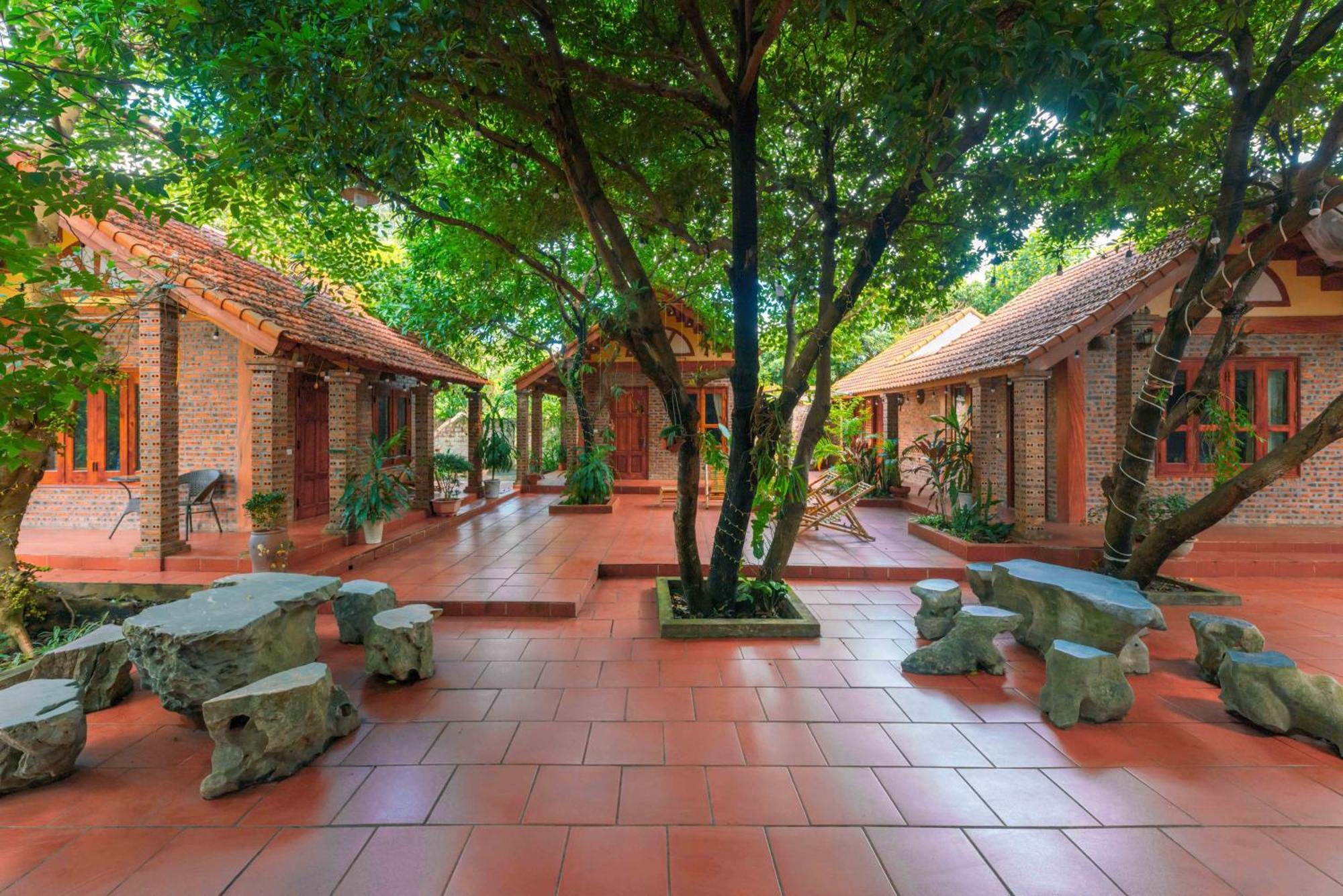 נין בין Tam Family Homestay מראה חיצוני תמונה